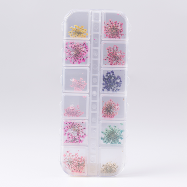 KIT FLORES SECAS PARA UNHAS 12 UNIDADES