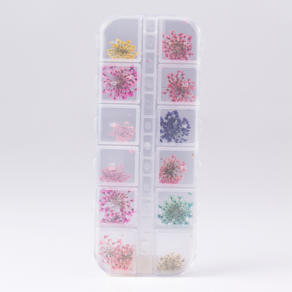 KIT FLORES SECAS PARA UNHAS 12 UNIDADES